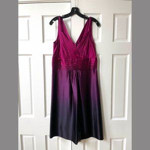 100% Silk Ann Taylor Magenta Ombre Cocktail Dress